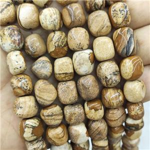 Natural Picture Jasper Beads Chips Freeform, approx 9-12mm [GB18278]