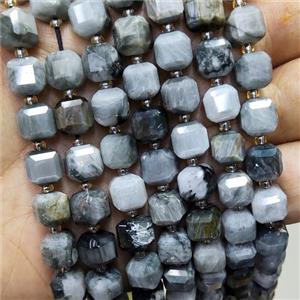 Natural Hawkeye Stone Beads Faceted Cube Eagle Jasper, approx 8-9mm [GB18374]