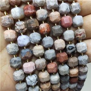 Natural Coral Fossil Beads Faceted Cube, approx 8-9mm [GB18398]