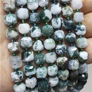 Natural Green Tree Agate Beads Faceted Cube, approx 8-9mm [GB18407]