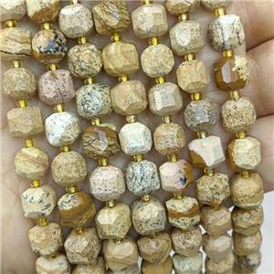 Natural Picture Jasper Beads Faceted Cube, approx 8-9mm [GB18457]