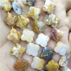 Natural Crazy Lace Agate Clover Beads Yellow Faceted, approx 13mm, 31pcs st [GB18876]