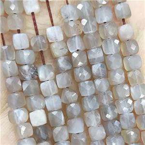 Natural Gray Moonstone Beads Faceted Cube, approx 3.7-4.4mm [GB18985]