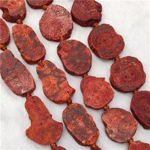 Natural Red Coral Slice Beads, approx 15-30mm [GB19072]