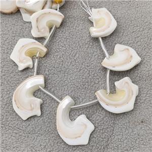 White Queen Shell Slice Beads Freeform Topdrilled, approx 20-40mm, 20cm length [GB19074]