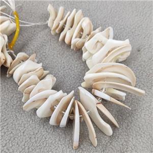 White Queen Shell Beads Slice Freeform, approx 20-40mm, 20cm length [GB19075]