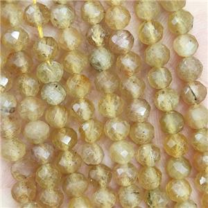Natural Yellow Apatite Beads Faceted Round, approx 4.7-5.5mm [GB19651]