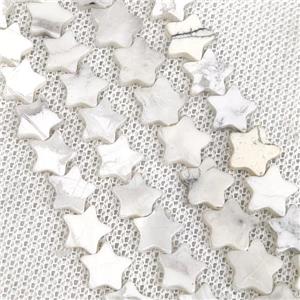 White Howlite Turquoise Star Beads, approx 8mm [GB19786]