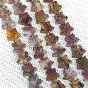 African Red Bloodstone Star Beads, approx 8mm [GB19792]