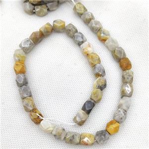 Natural Crazy Lace Agate Beads Freeform Faceted, approx 9-11mm [GB19881]