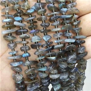 Natural Labradorite Chips Beads Freeform, approx 9-12mm [GB19915]