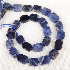 Natural Blue Sodalite Rectangle Beads, approx 10-15mm [GB19985]