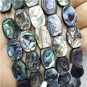 Abalone Shell Oval Beads Multicolor, approx 13-18mm [GB20168]