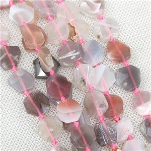 Natural Botswana Agate Beads Pink Hexagon, approx 12-14mm [GB20206]