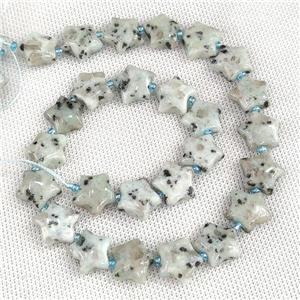 Natural Kiwi Jasper Star Beads, approx 15mm [GB20272]