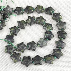 Green Kambaba Jasper Star Beads, approx 15mm [GB20283]