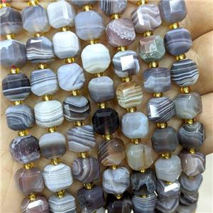 Natural Botswana Agate Beads Gray Faceted Cube, approx 8-9mm [GB20505]
