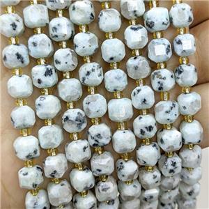 Natural Kiwi Jasper Beads Faceted Cube, approx 6-7mm [GB20596]