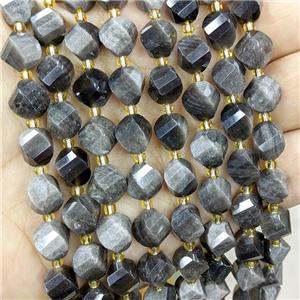 Natural Obsidian Twist Beads S-Shape Faceted Silver Flash, approx 9-10mm [GB20646]