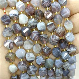 Natural Botswana Agate Twist Beads S-Shape Faceted Gray, approx 9-10mm [GB20650]