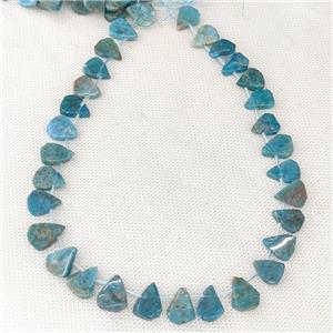 Natural Blue Apatite Beads Teardrop Topdrilled, approx 10-16mm [GB20730]