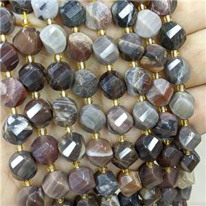 Natural Wood Petrified Jasper Twist Beads S-Shape Faceted, approx 7-8mm [GB20872-8MM]