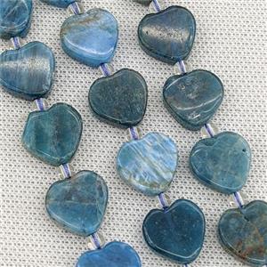 Natural Blue Apatite Heart Beads, approx 16mm [GB20948]