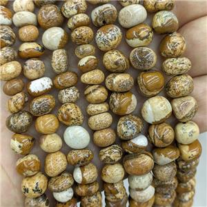 Natural Picture Jasper Chips Beads Freeform Khaki, approx 9-11mm [GB21168-L]