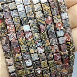 Natural Leopardskin Jasper Cube Beads, approx 6mm [GB21289]