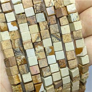 Natural Picture Jasper Cube Beads, approx 6mm [GB21293]