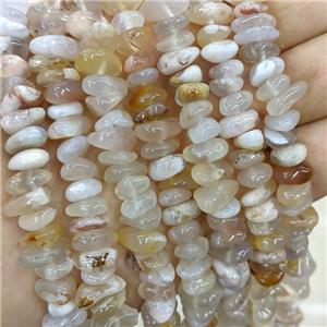 Natural Sakura Cherry Agate Chips Beads Freeform, approx 7-11mm [GB21438]