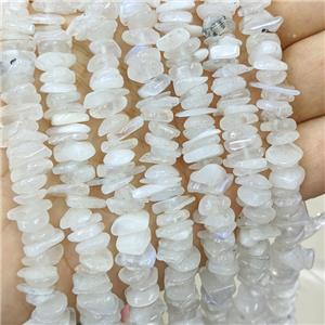 Natural White Moonstone Chips Beads Blue Flash Freeform, approx 7-11mm [GB21450]