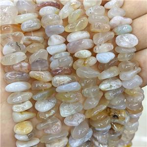 Natural Sakura Cherry Agate Beads Chips Freeform, approx 8-13mm [GB21455]
