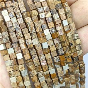 Natural Picture Jasper Cube Beads, approx 4mm [GB21791]