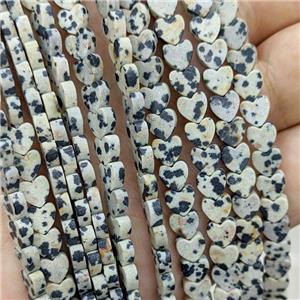 Natural Black Dalmatian Jasper Heart Beads, approx 6mm [GB22119]