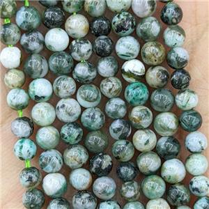 Natural Tree Agate Beads Green Smooth Round, approx 4mm [GB22273]