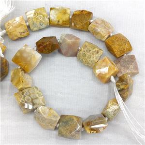 Natural Coral Fossil Square Beads Faceted Yellow, approx 18x18mm [GB22446]