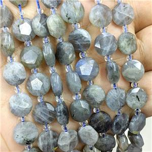 Natural Labradorite Beads Faceted Coin, approx 10mm [GB22477]