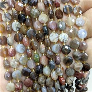 Natural Wood Petrified Jasper Beads Faceted Coin, approx 6mm [GB22575]