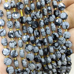 Natural Black Snowflake Jasper Beads Faceted Coin, approx 6mm [GB22584]