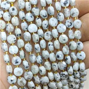 Natural Kiwi Jasper Beads Faceted Coin, approx 6mm [GB22586]