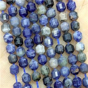 Natural Blue Sodalite Beads Prism, approx 4mm [GB22596]