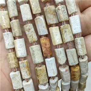 Natural Coral Fossil Tube Beads Tube, approx 7-14mm [GB22665]