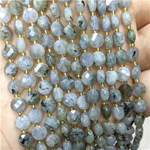 Natural Labradorite Beads Faceted Coin, approx 6mm [GB22692]