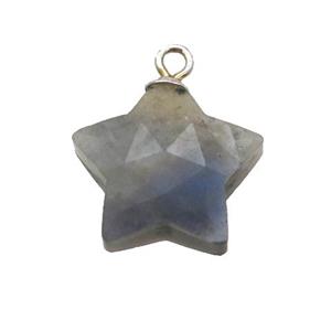 Labradorite pendant, faceted star, approx 13mm dia [GM14559]