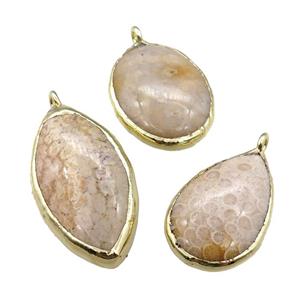 Coral Fossil pendant, mixed shape, mix color, gold plated, approx 25-60mm [GM15004]