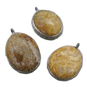 Coral Fossil pendant, mixed shape, mix color, platinum plated, approx 25-60mm [GM15005]