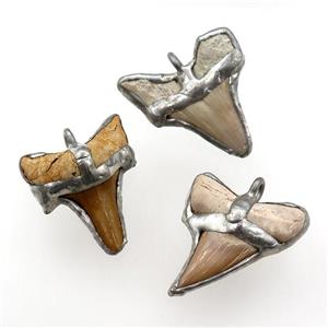 sharktooth pendant, approx 30-40mm [GM15033]