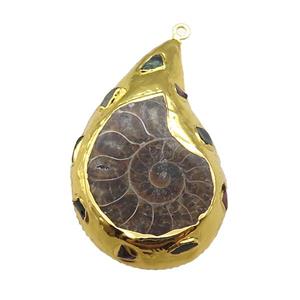 Ammonite Fossil pendant, gold plated, approx 30-50mm [GM16286]