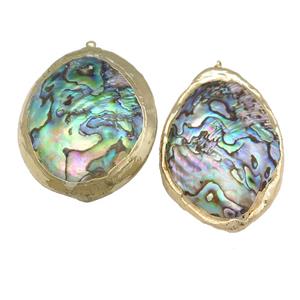 Abalone Shell pendant, multicolor, gold plated, approx 30-55mm [GM16521]